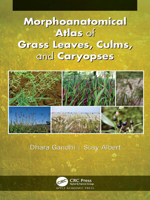 cover image of Morphoanatomical Atlas of Grass Leaves, Culms, and Caryopses